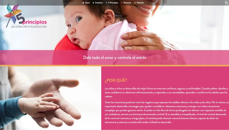 Pantalla 5 de 5 Principios